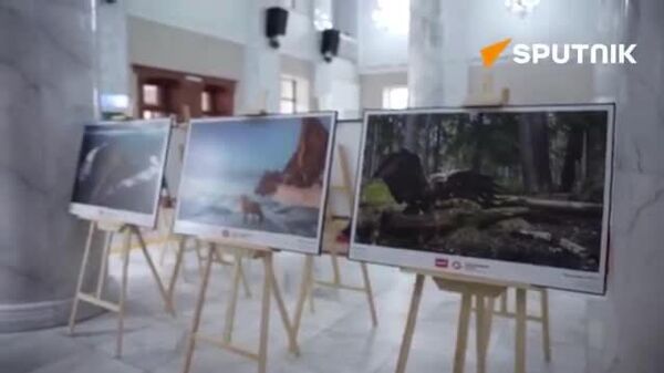 Үзэсгэлэнг “Оросын төмөр зам” нийгэмлэг, УБТЗ нийгэмлэгийн дэмжлэгтэйгээр “Оросын төмөр зам” нийгэмлэгийн хүмүүнлэгийн чадавхийг гадаадад хөгжүүлэх үзэл баримтлалын хүрээнд зохион байгуулж, УБ-ын иргэдэд Оросын зэрлэг ан амьтдын шилдэг гэрэл зургийг үзэх боломжийг олгосон юм Үзэсгэлэнг “Оросын төмөр зам” нийгэмлэг, УБТЗ нийгэмлэгийн дэмжлэгтэйгээр “Оросын төмөр зам” нийгэмлэгийн хүмүүнлэгийн чадавхийг гадаадад хөгжүүлэх үзэл баримтлалын хүрээнд зохион байгуулж, УБ-ын иргэдэд Оросын зэрлэг ан амьтдын шилдэг гэрэл зургийг үзэх боломжийг олгосон юм - Sputnik Монгол Улс