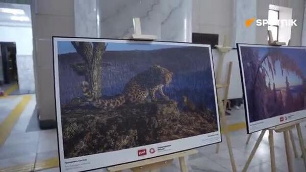 🇷🇺Улаанбаатарт “Анхны Орос” гэрэл зургийн үзэсгэлэн нээлтээ хийлээ 🇷🇺Улаанбаатарт “Анхны Орос” гэрэл зургийн үзэсгэлэн нээлтээ хийлээ - Sputnik Монгол Улс