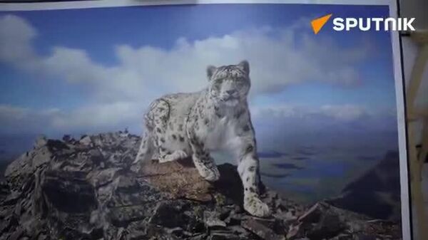 ОХУ-аас Монгол Улсад суугаа Онц бөгөөд Бүрэн эрхт Элчин сайдын Соёлын зөвлөх Валерия Киплякова: Оросын байгаль их өвөрмөц мөн цаг уурын бүх бүсэд оршдогийг эдгээр сайхан гэрэл зургуудаас харж болно гэж тэмдэглэв ОХУ-аас Монгол Улсад суугаа Онц бөгөөд Бүрэн эрхт Элчин сайдын Соёлын зөвлөх Валерия Киплякова: Оросын байгаль их өвөрмөц мөн цаг уурын бүх бүсэд оршдогийг эдгээр сайхан гэрэл зургуудаас харж болно гэж тэмдэглэв - Sputnik Монгол Улс