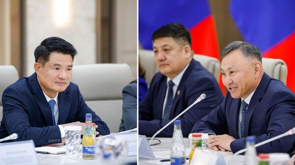 👩⚖️ Хамрах чиглэлүүд: 👩⚖️ Хамрах чиглэлүүд: - Sputnik Монгол Улс