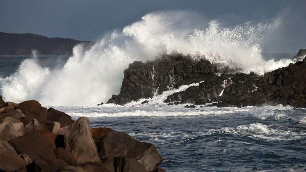 🗨️ Тус байгууллага Telegram хуудсандаа бичихдээ: Хүчтэй газар хөдлөлтийн дараа Камчаткагийн хойг хаашаа зугтаав❓❓ 🗨️ Тус байгууллага Telegram хуудсандаа бичихдээ: Хүчтэй газар хөдлөлтийн дараа Камчаткагийн хойг хаашаа зугтаав❓❓ - Sputnik Монгол Улс