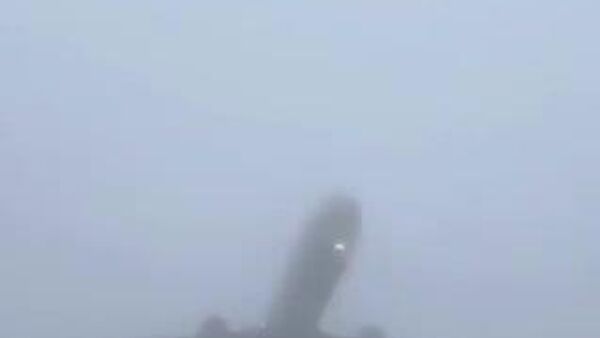 Онгоц манан дундаас гэнэт гарч ирсэн үзэгдэл - Sputnik Монгол Улс