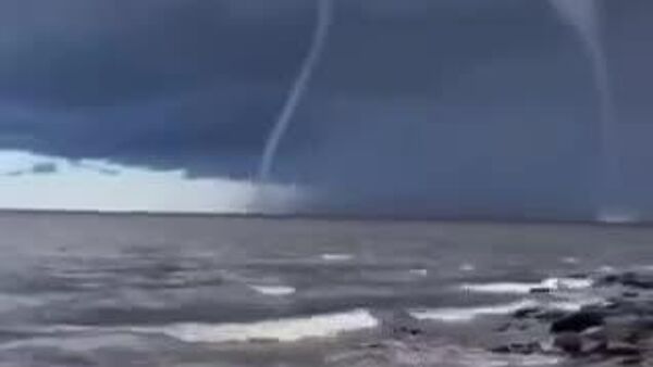 Нэг газарт гурван усны хуй зэрэг үзэгдэв - Sputnik Монгол Улс