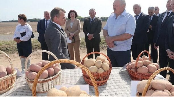 🥔🇧🇾Лукашенко БНХАУ-д төмс бэлэглэхээр шийджээ - Sputnik Монгол Улс