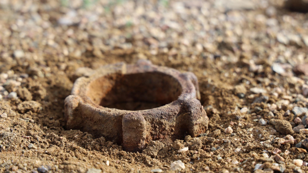 2/2 - Sputnik Монгол Улс