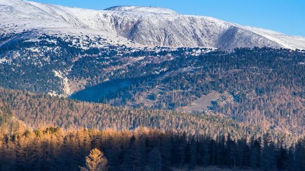 🇲🇳 Монгол Улсын Ерөнхийлөгчийн зарлигаар Богдхан уулын тэнгэрийг тахих Төрийн тахилгын ёслол ⛰️ энэ сарын 11-нд зохион байгуулагдана - Sputnik Монгол Улс