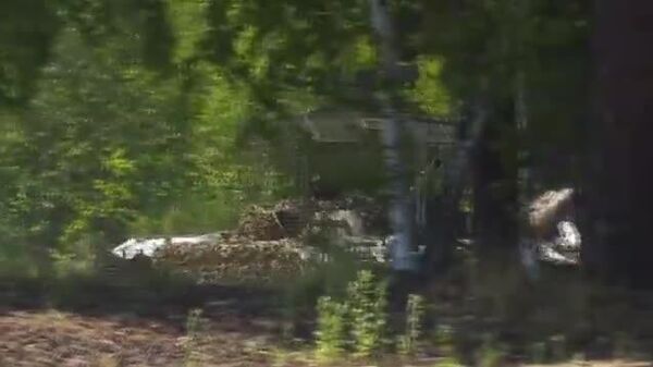 🇷🇺 ОХУ-ын цэргүүд Танкчдын өдрийг угтаж шинэ БМП-3 болон засварласан БМД-2 хүлээн авлаа - Sputnik Монгол Улс