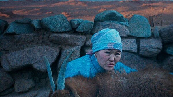 🎬🐺 🇲🇳Монгол малчны тухай киног Оскарт нэр дэвшүүлжээ - Sputnik Монгол Улс