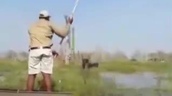 АНУ 🇺🇸, Их Британи 🇬🇧-аас ирсэн аялагчид руу заан халджээ - Sputnik Монгол Улс