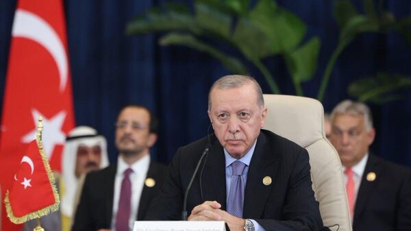 🇹🇷 Турк Газын зурвасыг сэргээн босгох ажлыг хариуцна - Sputnik Монгол Улс