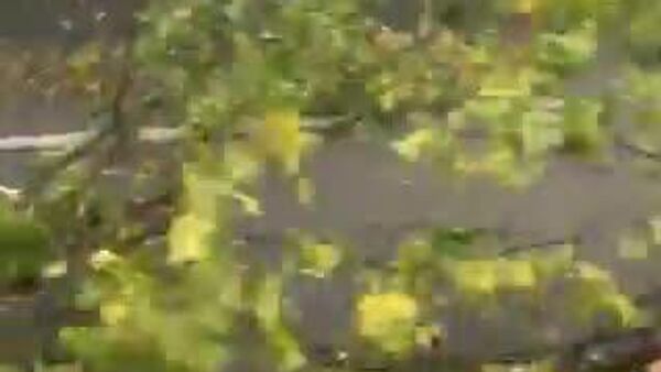 🌪 Францын хойд хэсгийг хар салхи дайран өнгөрлөө гэж орон нутгийн хэвлэлүүд мэдээлж байна - Sputnik Монгол Улс