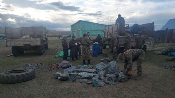 Хөвсгөлд ногоон хаш хууль бусаар олборлосон зөрчил илэрчээ - Sputnik Монгол Улс