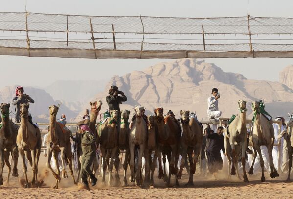 Иорданд “Arab Camel Trophy” тэмээний уралдаан өнгөрч байна Иорданд “Arab Camel Trophy” тэмээний уралдаан өнгөрч байна - Sputnik Монгол Улс