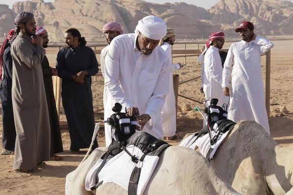 Иорданд “Arab Camel Trophy” тэмээний уралдаан өнгөрч байна Иорданд “Arab Camel Trophy” тэмээний уралдаан өнгөрч байна - Sputnik Монгол Улс