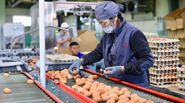 “Хүнсний хувьсгал”-ын хүрээнд 53 үйлдвэр ашиглалтад оржээ - Sputnik Монгол Улс