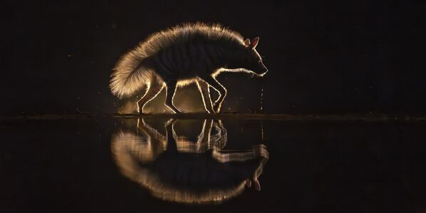 ТОП-100, Сонирхогчийн байгалийн ландшафт Шюэжүнь урт Хятад Кени дүлийж байна ТОП-100, Сонирхогчийн байгалийн ландшафт Шюэжүнь урт Хятад Кени дүлийж байна - Sputnik Монгол Улс