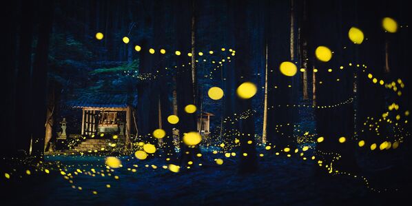 Нээлттэй барьсан орчин - ТОП-100 Ширли Вунг TW Галт ялааны ариун бүжиг Япон улс Нээлттэй барьсан орчин - ТОП-100 Ширли Вунг TW Галт ялааны ариун бүжиг Япон улс - Sputnik Монгол Улс