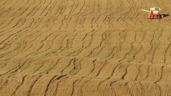 Тариалангийн тогтвортой менежментийн сайн туршлагыг нутагшуулна - Sputnik Монгол Улс