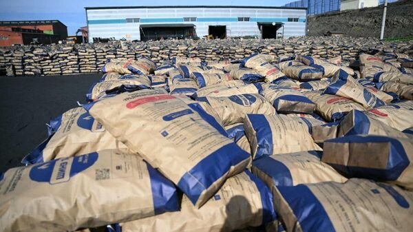 Нам даралтын зуухтай айлуудад түлшийг хорооны тодорхойлолтоор нэмнэ - Sputnik Монгол Улс