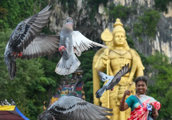 Куала Лумпурын Бату агуйд жуулчид шувуудыг хооллож байна. Арын дэвсгэр дээр Муруганы бурхны хөшөө харагдаж байна. Куала Лумпурын Бату агуйд жуулчид шувуудыг хооллож байна. Арын дэвсгэр дээр Муруганы бурхны хөшөө харагдаж байна. - Sputnik Монгол Улс