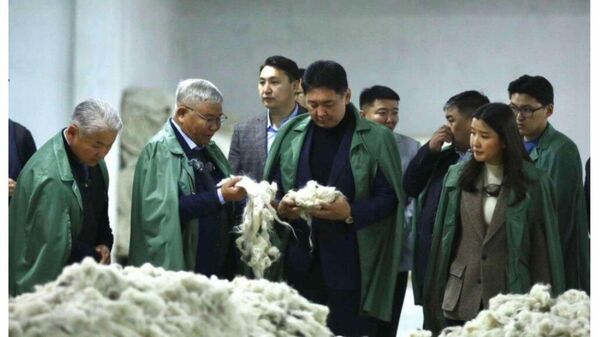 Цагаан алт хөтөлбөрийн үр дүнд түүхий эдийн 50 хувийг дотоодын үйлдвэрлэгчид бэлтгэж байна - Sputnik Монгол Улс