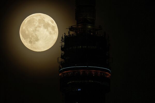 Москва дахь Останкино телевизийн цамхаг дээрх тэргэл Сар. Москва дахь Останкино телевизийн цамхаг дээрх тэргэл Сар. - Sputnik Монгол Улс