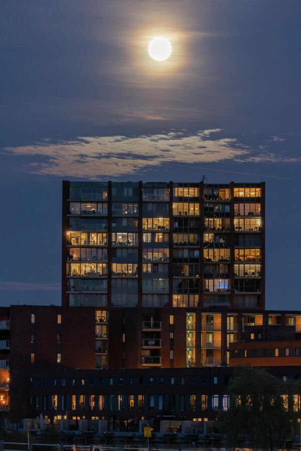 2025 оны хамгийн том бүтэн сар болох Минжний Сар гэгддэг супер сар нь 2025 оны 11-р сарын 5-нд Нидерландын Эйндховен хотын дээгүүр барилга байгууламж, гэрэлтүүлэгтэй орон сууц, тагтны ард мандаж байна. Сар буюу Сар буюу Селен бол гаригийг тойрон эргэдэг дэлхийн байгалийн дагуул болох одон орны биет юм. (Зураг: Nicolas Economou/NurPhoto Getty Images) 2025 оны хамгийн том бүтэн сар болох Минжний Сар гэгддэг супер сар нь 2025 оны 11-р сарын 5-нд Нидерландын Эйндховен хотын дээгүүр барилга байгууламж, гэрэлтүүлэгтэй орон сууц, тагтны ард мандаж байна. Сар буюу Сар буюу Селен бол гаригийг тойрон эргэдэг дэлхийн байгалийн дагуул болох одон орны биет юм. (Зураг: Nicolas Economou/NurPhoto Getty Images) - Sputnik Монгол Улс