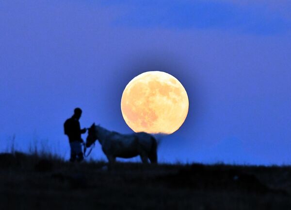 КАРС, ТУРКИЙН ХОТ - 11-р сарын 5: 2025 оны 11-р сарын 5-ны өдөр Туркийн Карс хотын Сарикамыш дүүрэгт оройн цагаар хүн, морины дүрсний ард тэргэл Сар гарч ирэв. (Зураг: Huseyin Demirci/Anadolu Getty Images) КАРС, ТУРКИЙН ХОТ - 11-р сарын 5: 2025 оны 11-р сарын 5-ны өдөр Туркийн Карс хотын Сарикамыш дүүрэгт оройн цагаар хүн, морины дүрсний ард тэргэл Сар гарч ирэв. (Зураг: Huseyin Demirci/Anadolu Getty Images) - Sputnik Монгол Улс