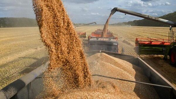 Энэ жилийн ургац өнгөрсөн оныхоос 40 хувиар багасчээ - Sputnik Монгол Улс