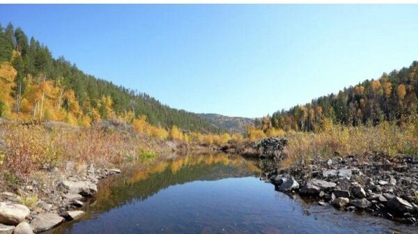 Оюутолгой компанийн санхүүжилтаар 600 га талбайг нөхөн сэргээжээ - Sputnik Монгол Улс