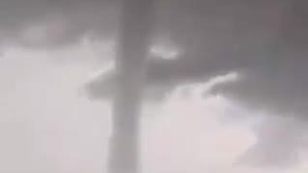 Вьетнамын эрэг орчмын усан хуй - Sputnik Монгол Улс