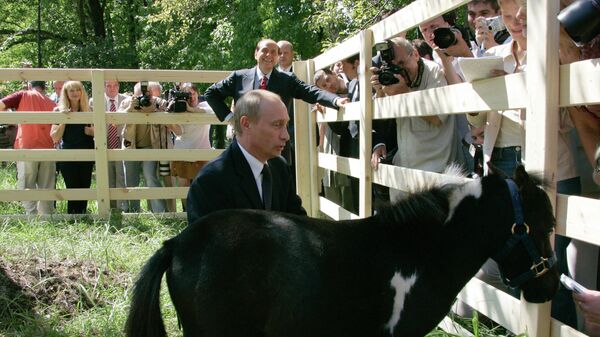 Президент России Владимир Путин с мини-лошадкой по имени Вадик - Sputnik Монгол Улс