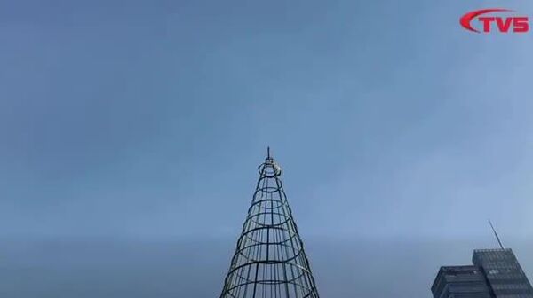 Улаанбаатар хотын төв талбайд сүндэрлэдэг сүлд модоо засаж байна - Sputnik Монгол Улс