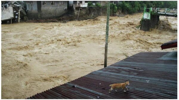 🇲🇨 Индонезийн Хойд Суматра, Ачех, Баруун Суматра мужуудад хүчтэй бороо орсны улмаас үер, хөрсний гулгалт үүсчээ - Sputnik Монгол Улс