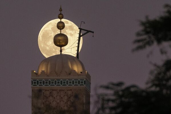 2025 оны 12-р сарын 4-ний Пүрэв гарагт Мароккогийн Марракеш хотод 12-р зууны үеийн Коутубия сүмийн ард жилийн сүүлчийн бүтэн сар гарч байна. (AP Photo/Mosa'ab Elshamy) 2025 оны 12-р сарын 4-ний Пүрэв гарагт Мароккогийн Марракеш хотод 12-р зууны үеийн Коутубия сүмийн ард жилийн сүүлчийн бүтэн сар гарч байна. (AP Photo/Mosa'ab Elshamy) - Sputnik Монгол Улс