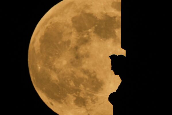 2025 оны 12-р сарын 4-ний Пүрэв гарагт Миссури мужийн Канзас хотод байрлах Дэлхийн дайны үндэсний музейн Либерти дурсгалын цамхагийн дээгүүр байрлах хөшөөний цаана бүтэн сар мандлаа. (AP Photo/Charlie Riedel) 2025 оны 12-р сарын 4-ний Пүрэв гарагт Миссури мужийн Канзас хотод байрлах Дэлхийн дайны үндэсний музейн Либерти дурсгалын цамхагийн дээгүүр байрлах хөшөөний цаана бүтэн сар мандлаа. (AP Photo/Charlie Riedel) - Sputnik Монгол Улс