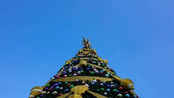 Төв талбайн сүлд модны гэрлийг маргааш 19:00 цагт асаана - Sputnik Монгол Улс