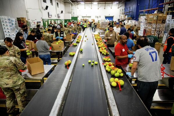 Калифорнийн Үндэсний Гвардийнхан 2025 оны 10-р сарын 29-ний Лхагва гарагт Лос Анжелес хотын Хүнсний Банкинд бүтээгдэхүүнээ ангилж байна. (AP Photo/Ethan Swope) - Sputnik Монгол Улс