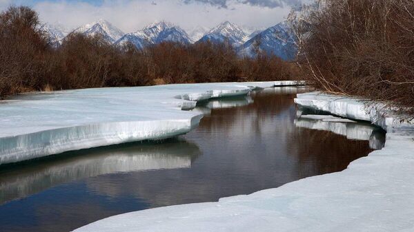 Тункинскийн үндэсний цэцэрлэгт хүрээлэн 35 нас хүрлээ - Sputnik Монгол Улс