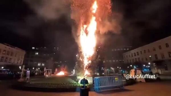 Брюссельд эсэргүүцлийн жагсаал хийж буй фермчид Европын парламентын ойролцоох зул сарын гацуур мод болон хэд хэдэн барилгыг шатаажээ - Sputnik Монгол Улс