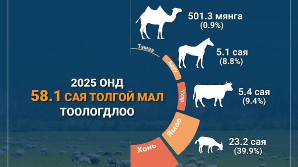 Улсын хэмжээнд 2025 оны эцэст, мал тооллогын урьдчилсан дүнгээр 58 - Sputnik Монгол Улс