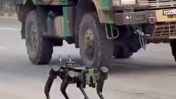 🇮🇳 Энэтхэгийн арми өндөр эрсдэлтэй даалгаврыг гүйцэтгэхэд робот нохой бүтээжээ - Sputnik Монгол Улс