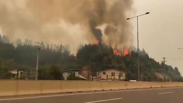 🚨🇨🇱 Чилид 24,000 гаруй га талбай гал түймэрт автаж, нас барсан хүний ​​тоо 18 болжээ - Sputnik Монгол Улс
