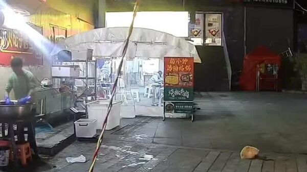 🇨🇳🐈 Тэнэмэл муур хүний амийг аварчээ - Sputnik Монгол Улс