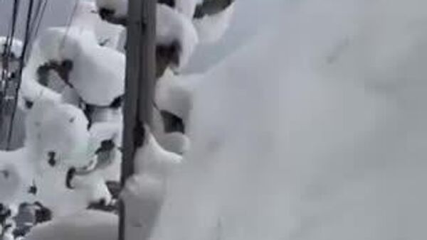 🇯🇵🌨️ Японы хойд хэсэг болон Японы тэнгисийн эрэг дагуу их хэмжээний цас орсны улмаас дор хаяж 35 хүн нас баржээ - Sputnik Монгол Улс