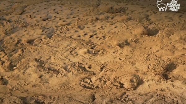 🇲🇳 Шар цавын бүс нутгийг Дэлхийн геопаркуудын жагсаалтад бүртгүүлэх бэлтгэл ажил явагдаж байна - Sputnik Монгол Улс