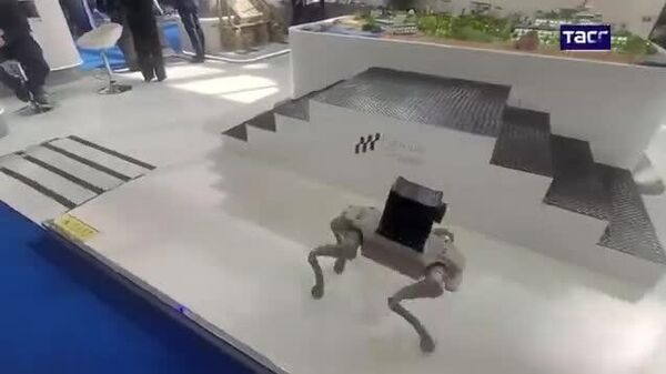 🇸🇦 Саудын Арабт болсон Дэлхийн батлан ​​​​хамгаалах үзэсгэлэн дээр робот нохой хий эргэж үзүүлэв - Sputnik Монгол Улс