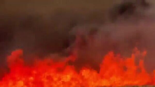 🚒 Оклахома Панхандл даяар ойн түймэр тархаж, нүүлгэн шилжүүлэлт явагдаж байна - Sputnik Монгол Улс