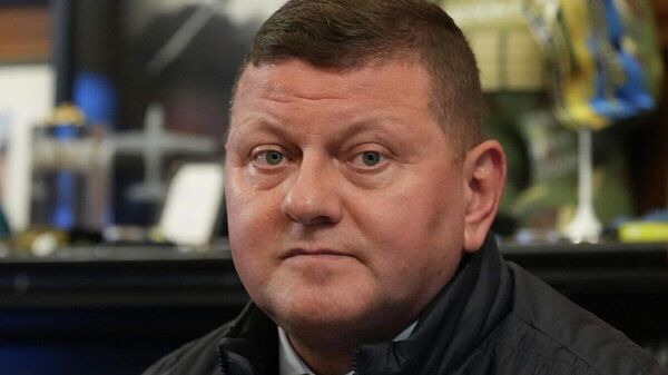 🚨 Залужный хойд урсгал хийн хоолойг дэлбэлэх ажиллагааг зөвшөөрсөн гэж Spiegel мэдээлэв - Sputnik Монгол Улс