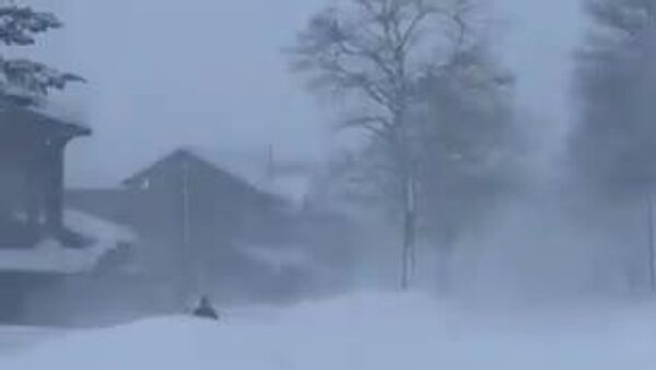 ❄️🇯🇵 Японы Хоккайдо аралд их хэмжээний цас орж (сүүлийн 150 жилийн хугацаанд), түүхэн дээд амжилт тогтоохоор байна - Sputnik Монгол Улс